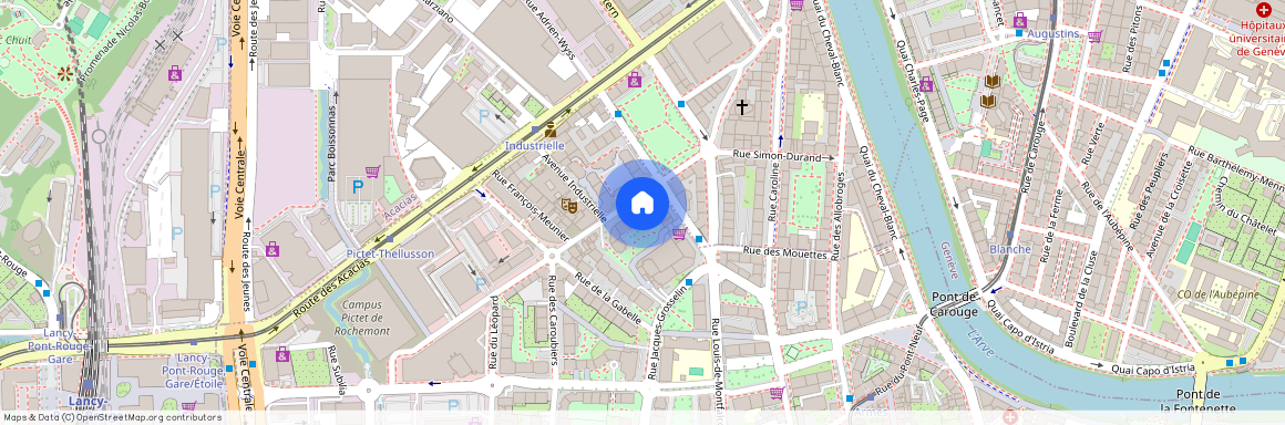 1227, Carouge GE, Rue des Noirettes, 13