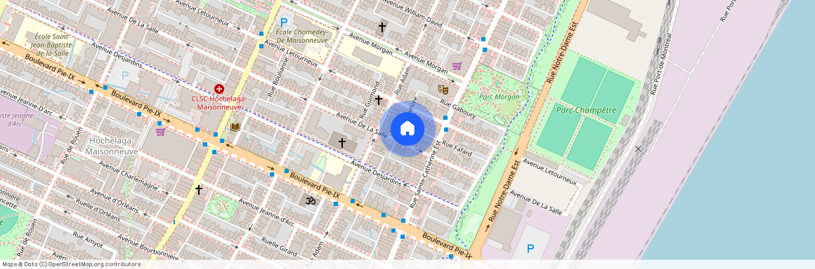 1437 Avenue de la Salle, Mercier-Hochelaga-Maisonneuve, Mercier-Hochelaga-Maisonneuve, Ile de Montréal, H1V 2J8