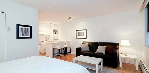 Beautifully Renovated Furnished Studio Apartment with Ocean Views #533 - Photo 2