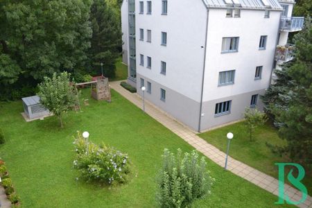 Hietzinger Cottage – Sonne den ganzen Tag – 2 Terrassen – Neubau - Foto 3