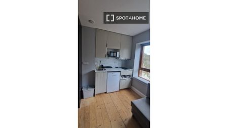 Studio for rent in Chapelizod, Dublin - Photo 2