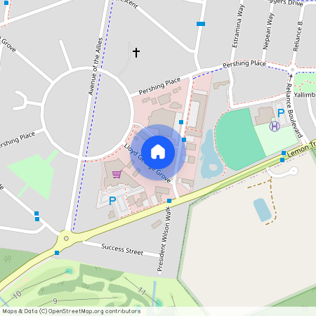 41 Lloyd George Grove, Tanilba Bay, NSW 2319