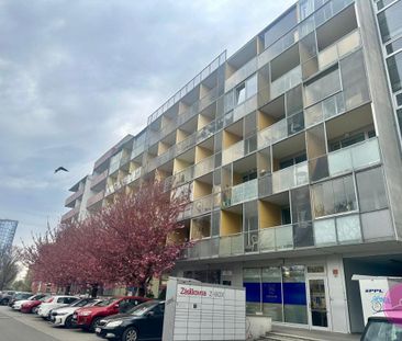 Pronájem bytu 1+kk 31 m2 - Fotografie 3