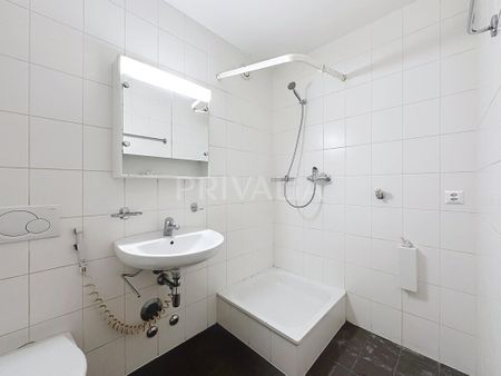 Beautiful garden-level apartment near International Organizations - Photo 4