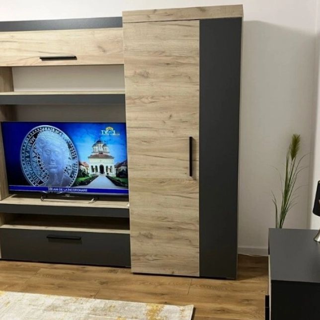 Podul de Fier apartament 70 mp, 3 camere, decomandat, de inchiriat, Mega Image, Cod 161044 - Fotografie 1