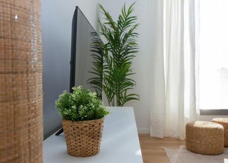 Carrer de Provença, Barcelona, Catalonia 08037 - Foto 5