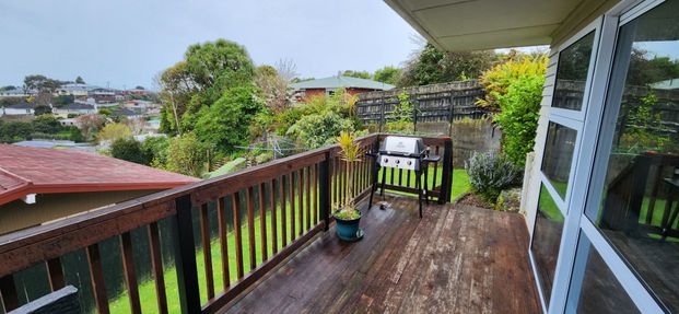7 Penrith Street, Westown, New Plymouth - Photo 1