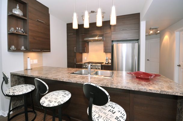 Condo for rent, Montréal (Saint-Laurent) - Photo 1