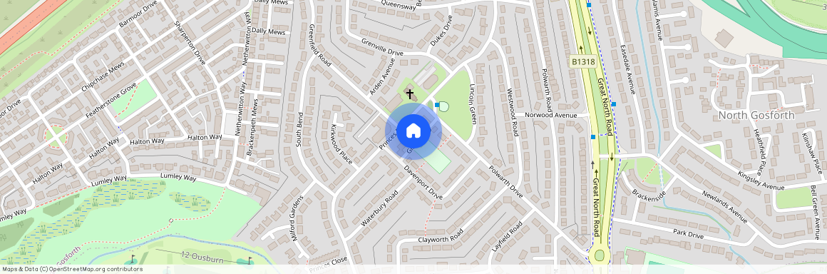 Princes Road, Brunton Park