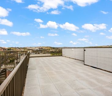 3 bedroom penthouse to rent - Photo 6