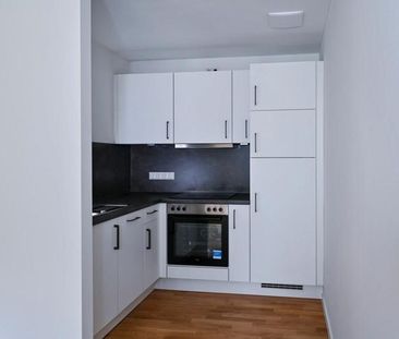 Neubau! Großzügige 2 Raumwohnung mit Balkon! - Photo 5