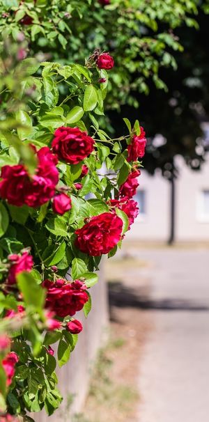 Fogdegatan 14, Linköping - Foto 2