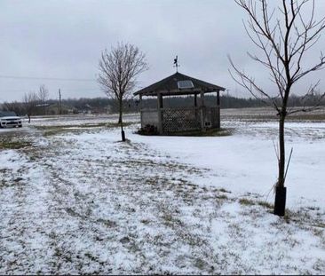 For Lease - 504110 Highway 89 N/A, Amaranth, Ontario - Photo 6