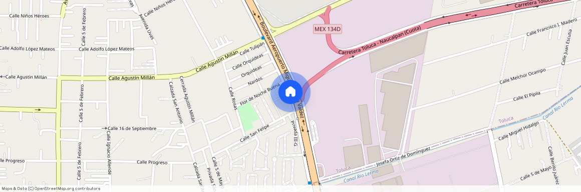 La Galia Toluca Mz 1 Lt C, Blvd. Miguel Alemán MZ 010, San Pedro Totoltepec, Estado de México, México