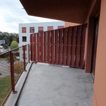 Appartement T3 - TOURCOING limite Mouvaux - Photo 4