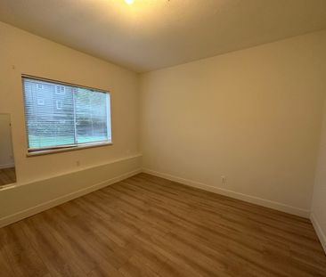 Renovated Basement Unit in a Fourplex- Pet Friendly! - Photo 2