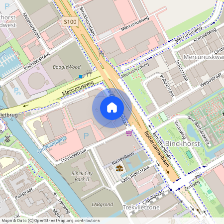 Kasteellaan 131, Binckhorst, 2516BJ, Den Haag