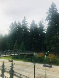 $2,200 / 1br – 655ft2 – Spectacular 1 BDRM & 1 BATH in Victoria Hill community (QA26) - Photo 5