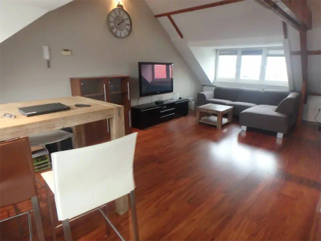 Appartement meublé Merovingersweg, Eindhoven - À louer - Photo 3