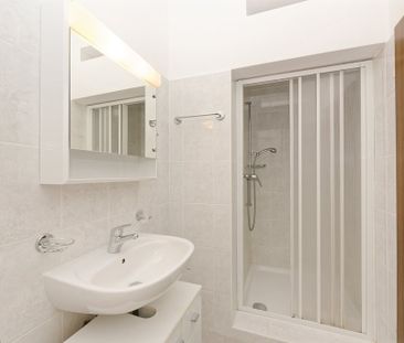 Rent a 1 ½ rooms furnished flat in Lugano - Photo 6