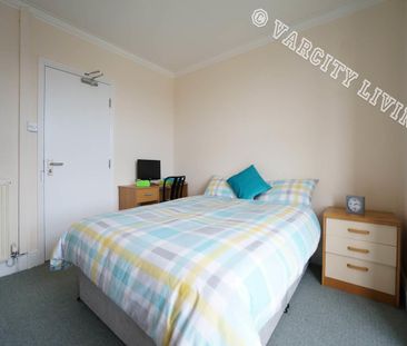 64 Caellepa - Photo 5