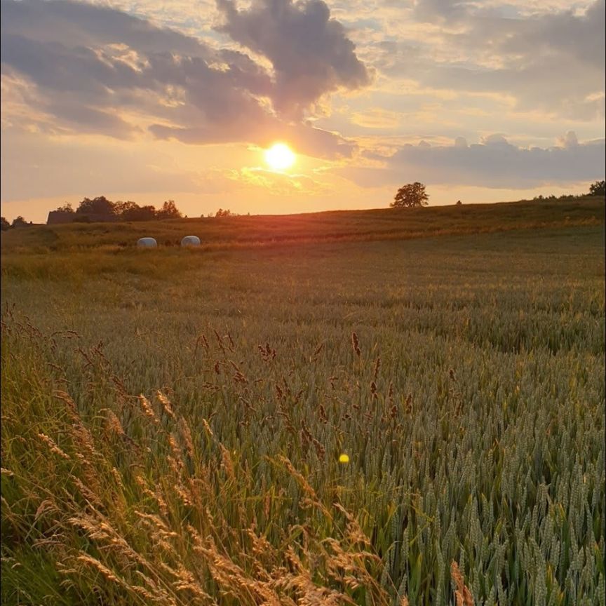 Einzelzimmer - Photo 2