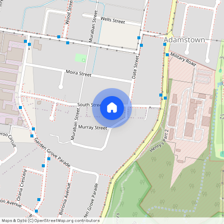 17 South Street, Adamstown NSW 2289