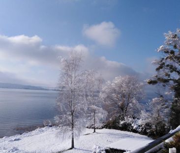 2,5-Zimmer-Wohnung am See - Photo 1