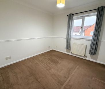 Blackthorn - Photo 3