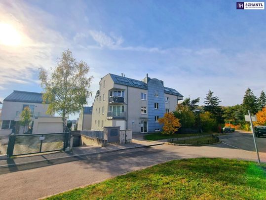 Wohnen am Wilhelminenberg! Traumhafter Fernblick + Absolute Grün- und Ruhelage + Tolle Raumaufteilung + Garagenplatz! Das perfekte Zuhause über den Dächern... - Photo 1