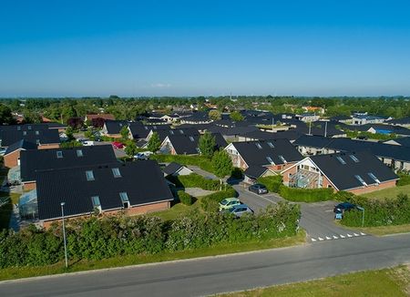 Dejligt 2-værelses rækkehus med terrasse i Odense S - Photo 5