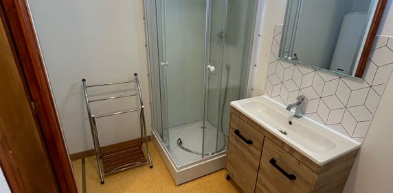 Location Appartement 2 pièces 45m² CHATELLERAULT 86100 - Photo 2