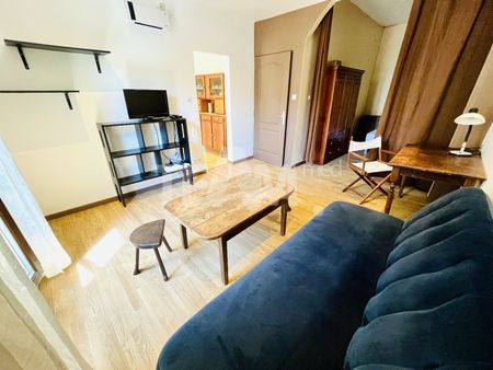 Location Appartement 1 pièce 35m² SETE 34200 - Photo 3