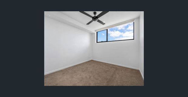 Elevated Living in the Heart of Stones Corner - Photo 1