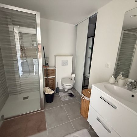 Location Appartement 1 pièce 22m² - Photo 4