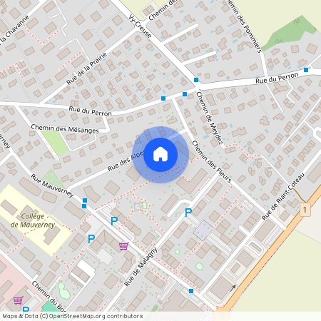 1196, Gland, Rue Des Alpes, 8