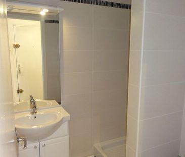 Location Appartement 1 pièce 25m² GRENOBLE 38000 - Photo 3