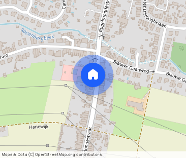Ruime instapklare woning met 4 slaapkamers te Bazel. - Photo 1