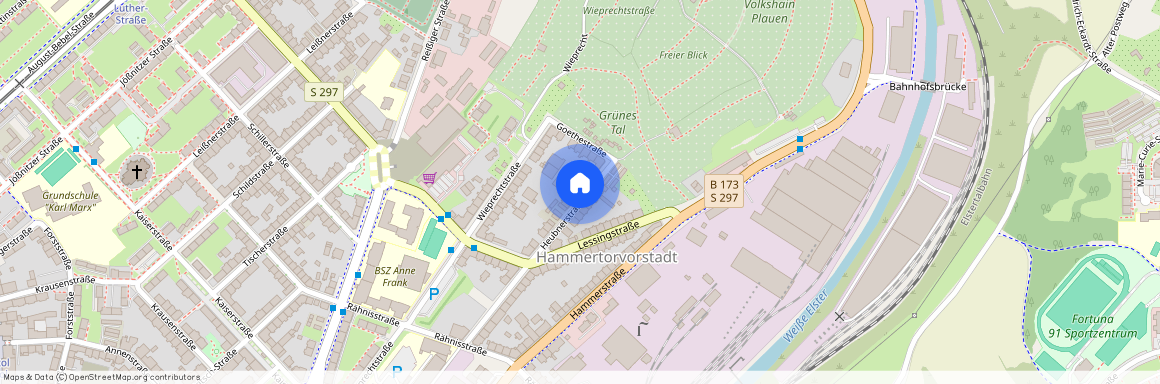 Heubnerstraße 41, 08523 Plauen