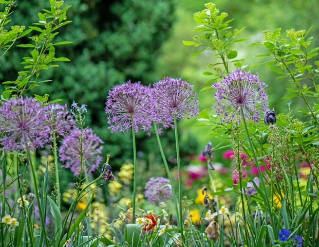 Appartement de standing au coeur de Florissant - Photo 1