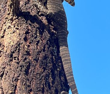 Martins Creek - Photo 1