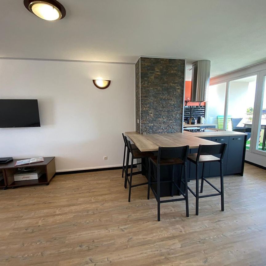 Haut d'IDRON, Dernier étage avec Terrasse Vue PYRENEES, Superbe T3 Meublé avec 2 chambres, - Photo 1