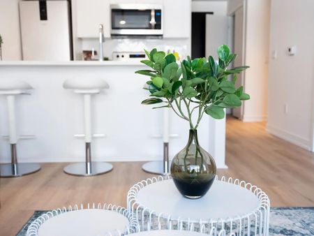 Modern Rental Suites on Main Street in Old Ottawa East - Photo 3