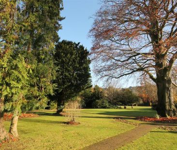 2 bedroom house to rent - Photo 2