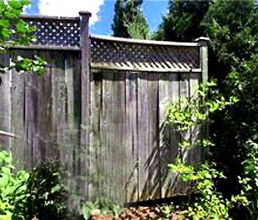 For Lease - 2955 Thomas Street Unit# 32, Mississauga, Ontario - Photo 6