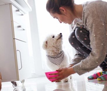 185 Lyon Street North, Centretown, Ottawa, ON - Photo 6