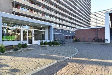 Hendrik Tollensstraat 2624 ZL Delft - Photo 4