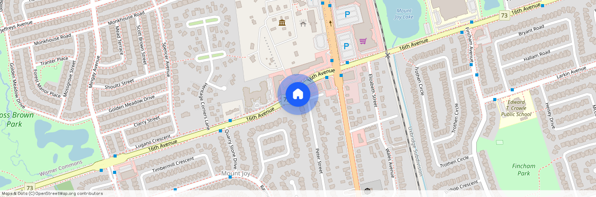 86 Peter Street, Markham