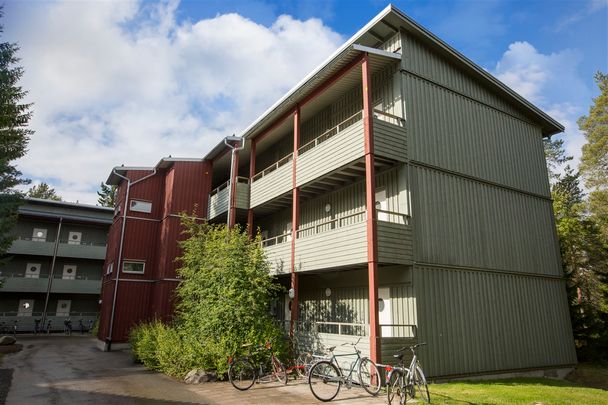 Tvistevägen, Umeå - Photo 1