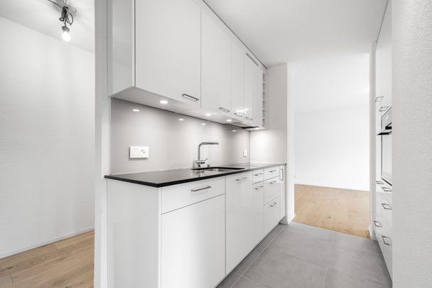 4410 Liestal - Photo 1